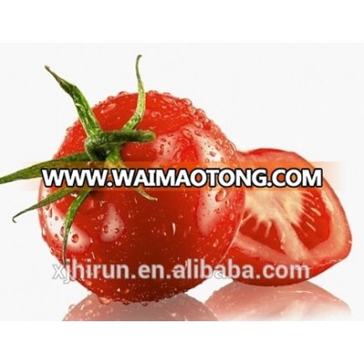 Tomato Paste 36-38% brix cold break