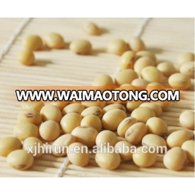 beans from Xinjiang China